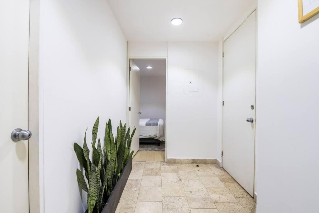 Loft Donceles 6 Cdmx! Διαμέρισμα Μεξικό Εξωτερικό φωτογραφία